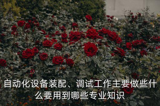 自動(dòng)化設(shè)備裝配、調(diào)試工作主要做些什么要用到哪些專業(yè)知識(shí)