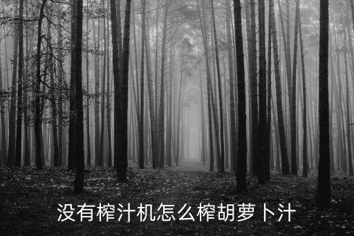 沒有榨汁機怎么榨胡蘿卜汁