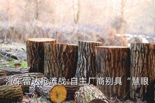 汽車(chē)?yán)走_(dá)搶灘戰(zhàn):自主廠商別具“慧眼”