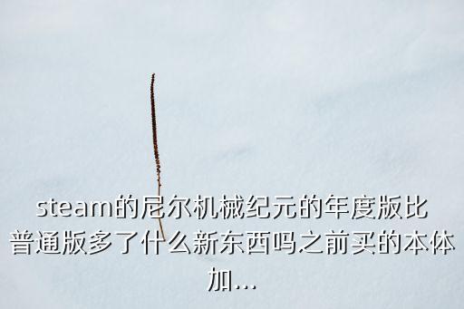 steam的尼爾機械紀元的年度版比普通版多了什么新東西嗎之前買的本體加...