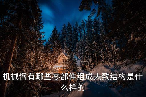 機(jī)械臂有哪些零部件組成大致結(jié)構(gòu)是什么樣的