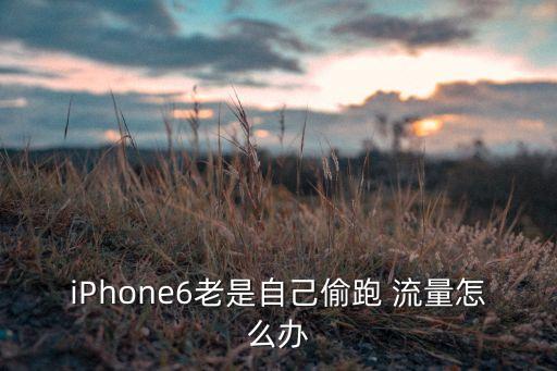 蘋果6怎樣關數(shù)據(jù)流量套餐,蘋果手機怎樣設置數(shù)據(jù)流量使用情況