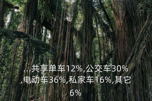 騎電共享電動(dòng)車運(yùn)營(yíng)數(shù)據(jù),共享電動(dòng)車如何管理?看這里!