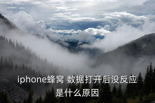 iphone蜂窩 數(shù)據(jù)打開(kāi)后沒(méi)反應(yīng)是什么原因