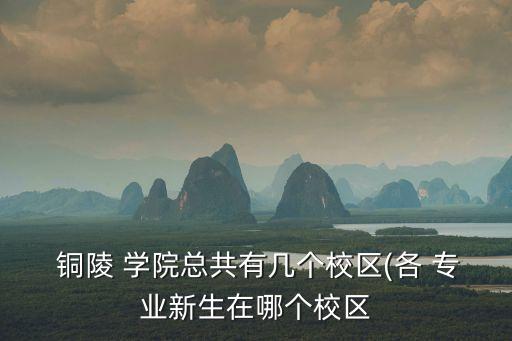  銅陵 學(xué)院總共有幾個(gè)校區(qū)(各 專業(yè)新生在哪個(gè)校區(qū)