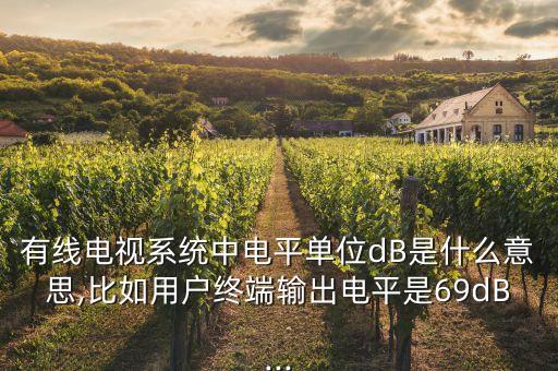有線電視系統(tǒng)中電平單位dB是什么意思,比如用戶終端輸出電平是69dB...