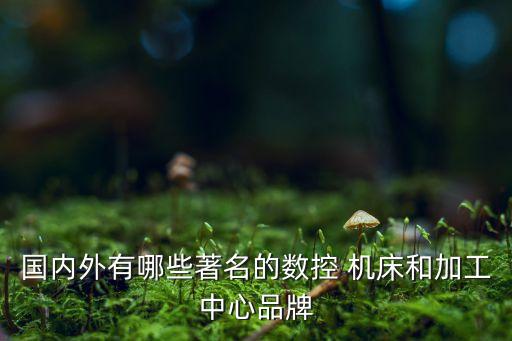 國內(nèi)外有哪些著名的數(shù)控 機床和加工中心品牌
