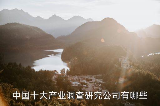 中國(guó)十大產(chǎn)業(yè)調(diào)查研究公司有哪些