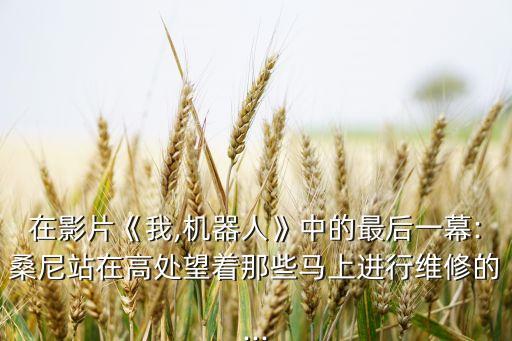 在影片《我,機(jī)器人》中的最后一幕:桑尼站在高處望著那些馬上進(jìn)行維修的...