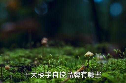 十大樓宇自控品牌有哪些