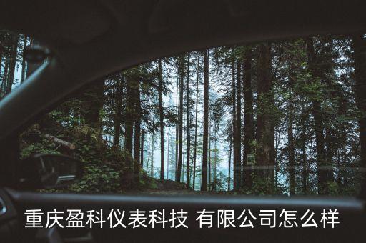 重慶盈科儀表科技 有限公司怎么樣