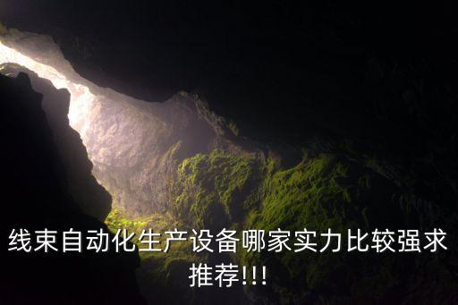 線束自動化生產(chǎn)設(shè)備哪家實力比較強求推薦!!!