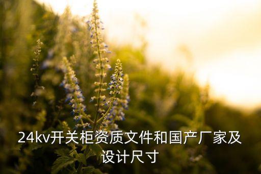 24kv開關柜資質文件和國產廠家及設計尺寸