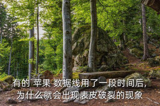 蘋果數(shù)據(jù)線為什么一直壞