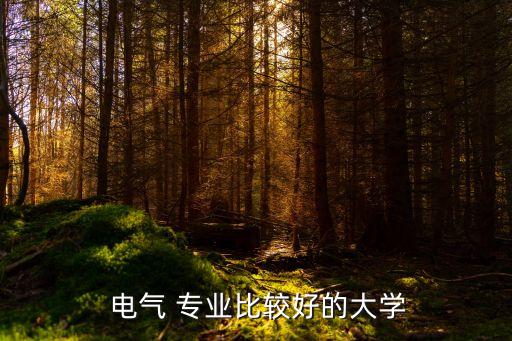  電氣 專業(yè)比較好的大學(xué)