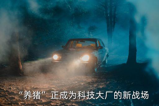 巢湖自動(dòng)化養(yǎng)豬設(shè)備公司,豬場(chǎng)要合理使用自動(dòng)化養(yǎng)豬設(shè)備