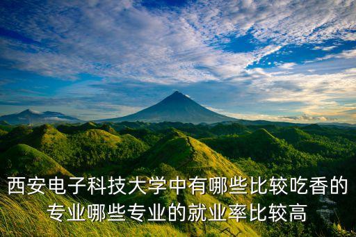 西安電子科技大學(xué)中有哪些比較吃香的專業(yè)哪些專業(yè)的就業(yè)率比較高