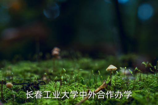 長春工業(yè)大學(xué)中外合作辦學(xué)