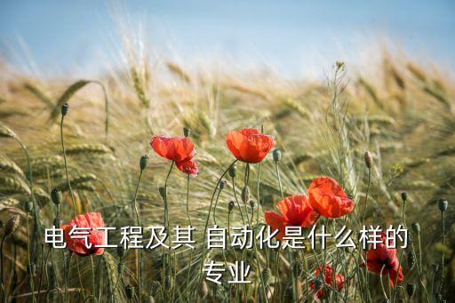  電氣工程及其 自動(dòng)化是什么樣的 專(zhuān)業(yè)