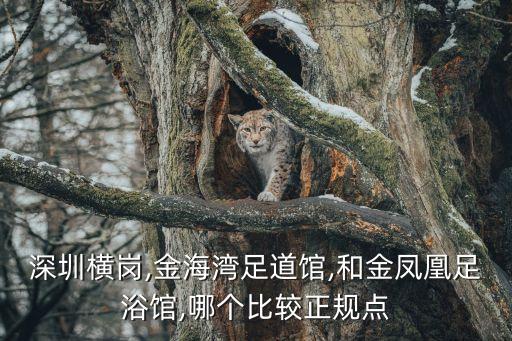 深圳橫崗,金海灣足道館,和金鳳凰足浴館,哪個(gè)比較正規(guī)點(diǎn)