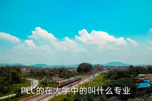 PLC的在大學(xué)中的叫什么專業(yè)