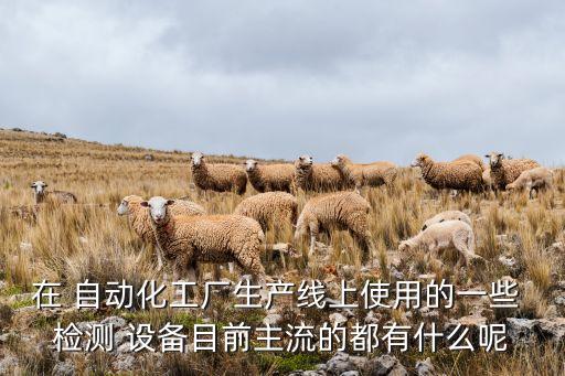 在 自動化工廠生產(chǎn)線上使用的一些 檢測 設(shè)備目前主流的都有什么呢