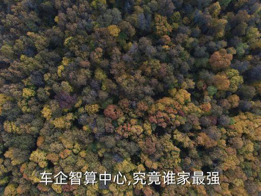車企智算中心,究竟誰(shuí)家最強(qiáng)