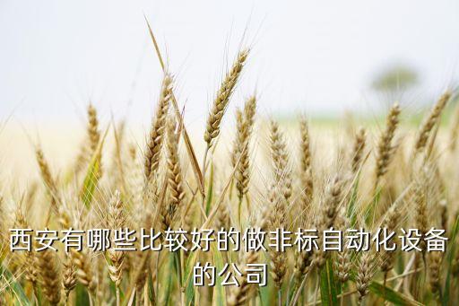 河北非標(biāo)自動(dòng)化設(shè)備視頻,非標(biāo)自動(dòng)化和自動(dòng)兩件事你知多少?
