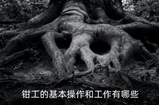  鉗工的基本操作和工作有哪些