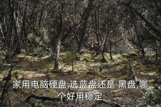 西部數(shù)據(jù)黑盤nas