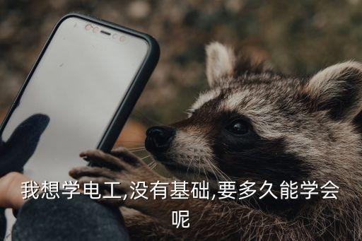 電氣工程及其自動化李麗英,為什么不適合精選?原來是這么做