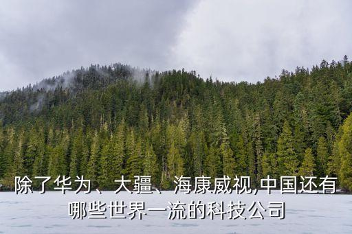 除了華為、大疆、海康威視,中國(guó)還有哪些世界一流的科技公司
