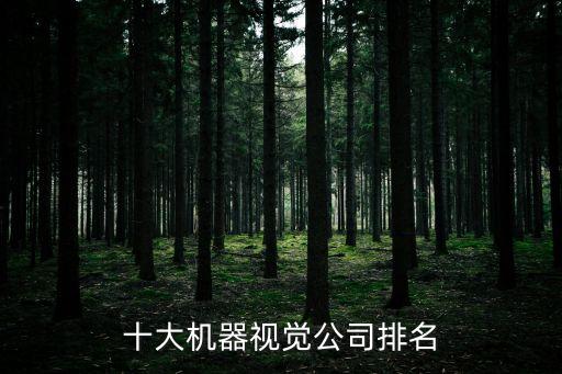 金華自動化方案設(shè)計公司,中國生產(chǎn)自動化設(shè)備公司有哪些?