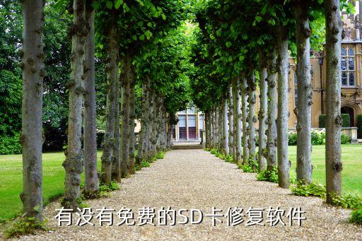 有沒有免費(fèi)的SD卡修復(fù)軟件