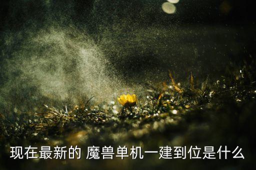 現(xiàn)在最新的 魔獸單機(jī)一建到位是什么