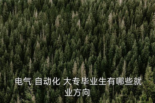  電氣 自動化 大專畢業(yè)生有哪些就業(yè)方向