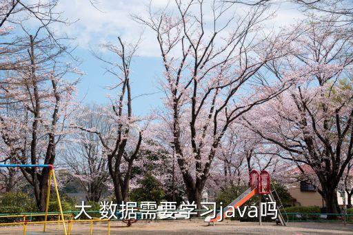 大數(shù)據(jù)開發(fā) 語言