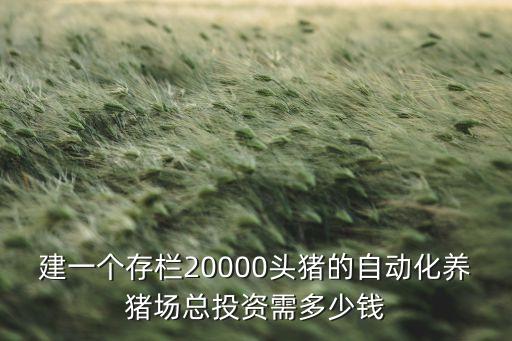 建一個存欄20000頭豬的自動化養(yǎng)豬場總投資需多少錢