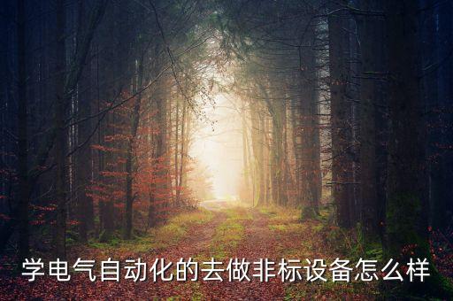 學(xué)電氣自動(dòng)化的去做非標(biāo)設(shè)備怎么樣