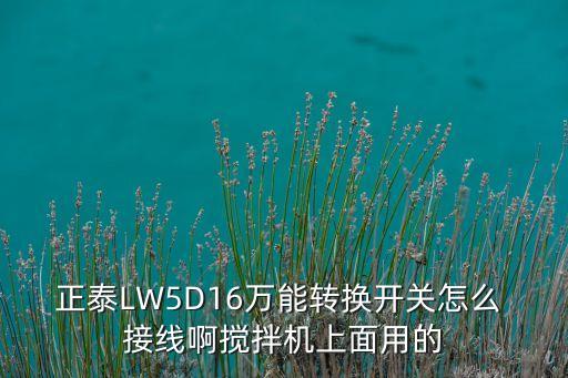 正泰LW5D16萬能轉(zhuǎn)換開關(guān)怎么 接線啊攪拌機(jī)上面用的