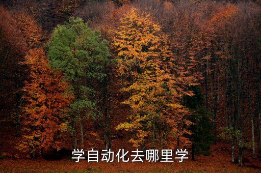 學(xué)自動(dòng)化去哪里學(xué)