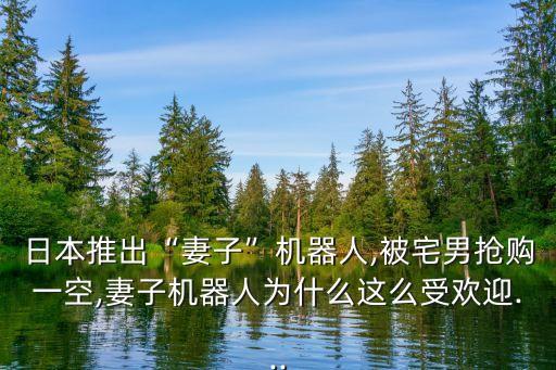 日本推出“妻子”機器人,被宅男搶購一空,妻子機器人為什么這么受歡迎...