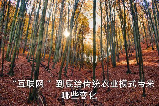 農(nóng)業(yè)大數(shù)據(jù)商業(yè)模式,農(nóng)業(yè)大數(shù)據(jù)?從商業(yè)模式到數(shù)據(jù)存儲(chǔ)模式