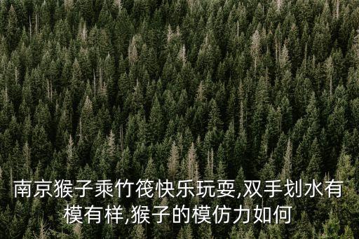 南京猴子乘竹筏快樂玩耍,雙手劃水有模有樣,猴子的模仿力如何
