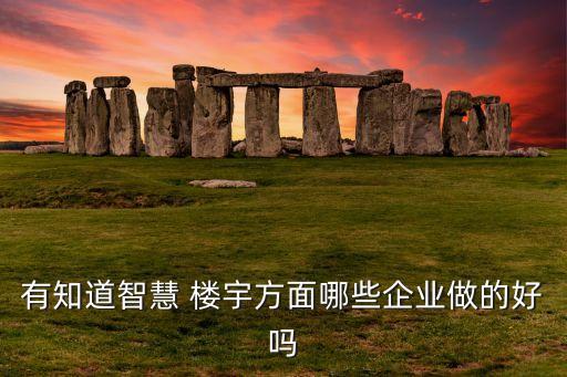 有知道智慧 樓宇方面哪些企業(yè)做的好嗎