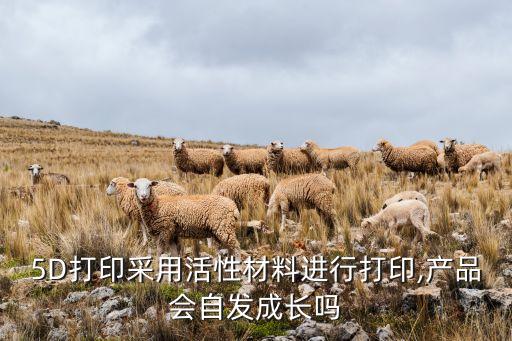 5D打印采用活性材料進(jìn)行打印,產(chǎn)品會(huì)自發(fā)成長(zhǎng)嗎