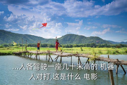 ...人各駕駛一座幾十米高的 機器人對打,這是什么 電影