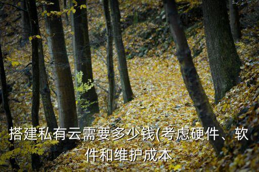 搭建私有云需要多少錢(考慮硬件、軟件和維護成本