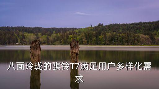八面玲瓏的騏鈴T7滿足用戶多樣化需求
