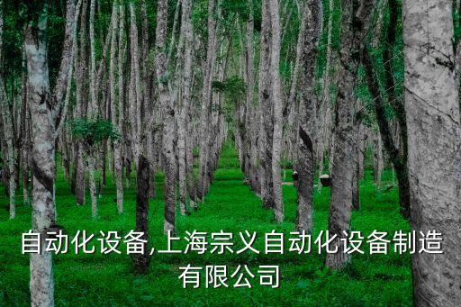 宗義自動(dòng)化設(shè)備,上海宗義自動(dòng)化設(shè)備制造有限公司
